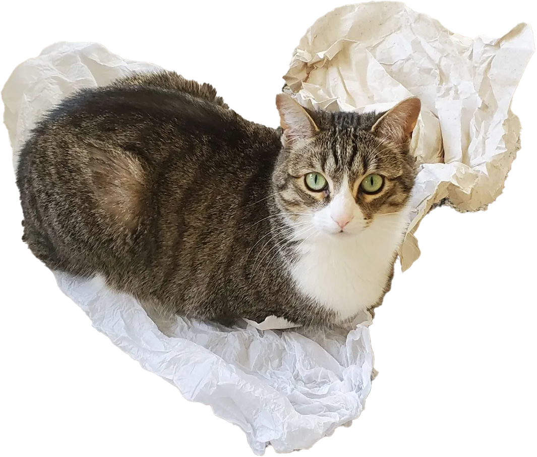 Sriracha Paper Cat